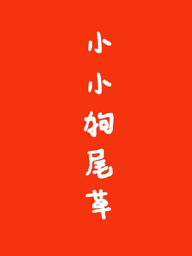小小狗尾草