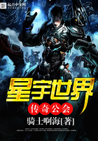星宇世界传奇公会全本